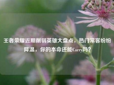王者荣耀近期削弱英雄大盘点，热门常客纷纷降温，你的本命还能Carry吗？