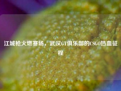 江城枪火燃赛场，武汉GT俱乐部的CSGO热血征程
