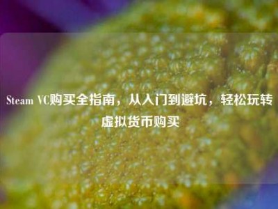 Steam VC购买全指南，从入门到避坑，轻松玩转虚拟货币购买