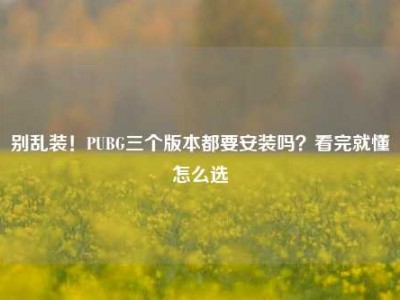 别乱装！PUBG三个版本都要安装吗？看完就懂怎么选