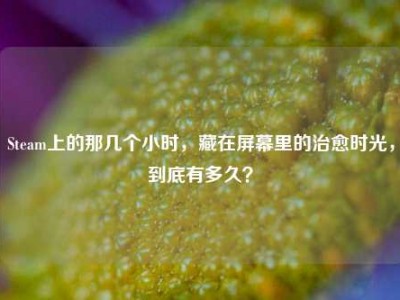 Steam上的那几个小时，藏在屏幕里的治愈时光，到底有多久？