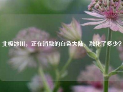 北极冰川，正在消融的白色大陆，融化了多少？