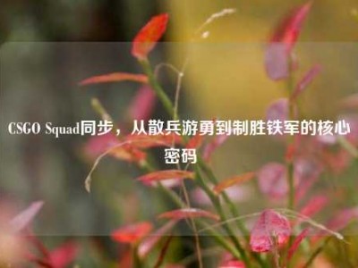 CSGO Squad同步，从散兵游勇到制胜铁军的核心密码