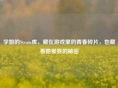 学姐的Steam库，藏在游戏里的青春碎片，也藏着她爱我的秘密