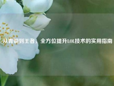从青铜到王者，全方位提升LOL技术的实用指南