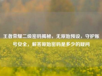 王者荣耀二级密码揭秘，无原始预设，守护账号安全，解答原始密码是多少的疑问
