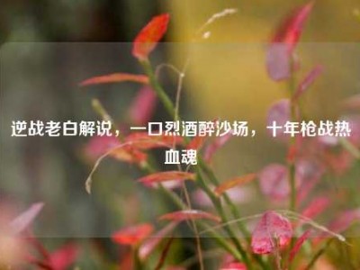 逆战老白解说，一口烈酒醉沙场，十年枪战热血魂