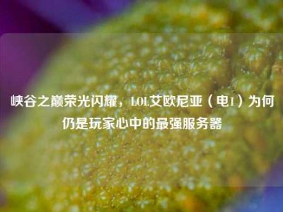 峡谷之巅荣光闪耀，LOL艾欧尼亚（电1）为何仍是玩家心中的最强服务器