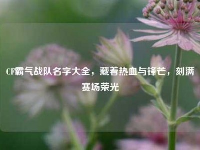CF霸气战队名字大全，藏着热血与锋芒，刻满赛场荣光