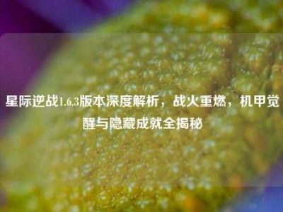星际逆战1.6.3版本深度解析，战火重燃，机甲觉醒与隐藏成就全揭秘