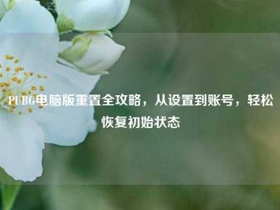 PUBG电脑版重置全攻略，从设置到账号，轻松恢复初始状态