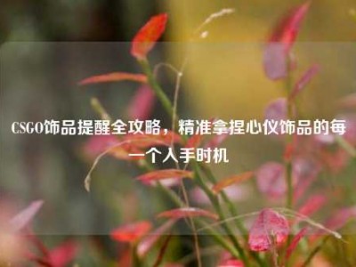 CSGO饰品提醒全攻略，精准拿捏心仪饰品的每一个入手时机