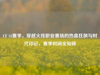 CF S3赛季，穿越火线职业赛场的热血狂飙与时代印记，赛季时间全知晓