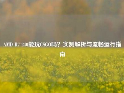 AMD R7 240能玩CSGO吗？实测解析与流畅运行指南