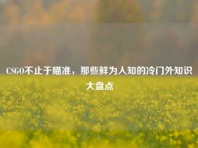 CSGO不止于瞄准，那些鲜为人知的冷门外知识大盘点