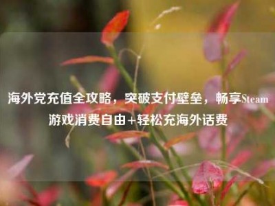 海外党充值全攻略，突破支付壁垒，畅享Steam游戏消费自由+轻松充海外话费