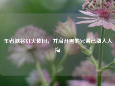王者峡谷灯火依旧，并肩开黑的兄弟已散入人海