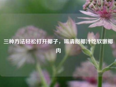 三种方法轻松打开椰子，喝清甜椰汁吃软嫩椰肉