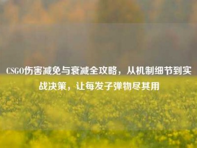 CSGO伤害减免与衰减全攻略，从机制细节到实战决策，让每发子弹物尽其用