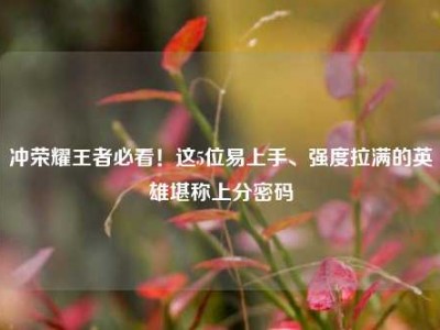 冲荣耀王者必看！这5位易上手、强度拉满的英雄堪称上分密码