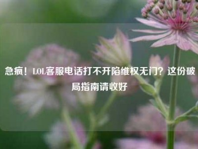 急疯！LOL客服电话打不开陷维权无门？这份破局指南请收好