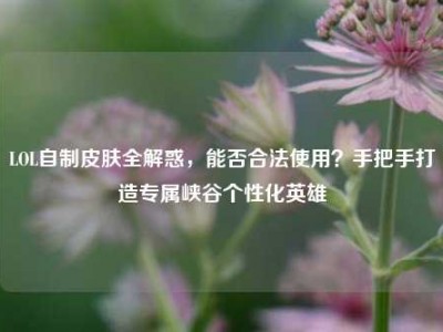 LOL自制皮肤全解惑，能否合法使用？手把手打造专属峡谷个性化英雄