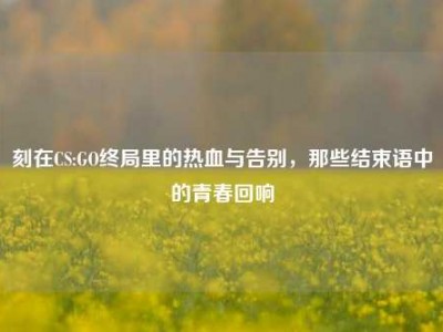 刻在CS:GO终局里的热血与告别，那些结束语中的青春回响