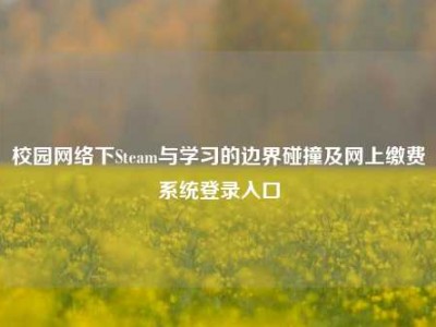 校园网络下Steam与学习的边界碰撞及网上缴费系统登录入口