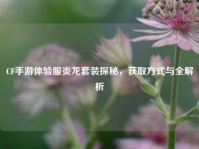 CF手游体验服炎龙套装探秘，获取方式与全解析