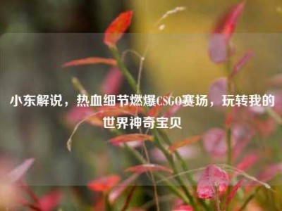 小东解说，热血细节燃爆CSGO赛场，玩转我的世界神奇宝贝