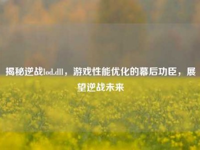 揭秘逆战lod.dll，游戏性能优化的幕后功臣，展望逆战未来