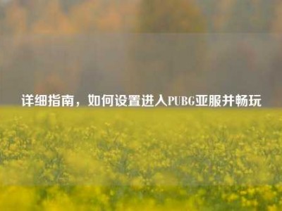 详细指南，如何设置进入PUBG亚服并畅玩