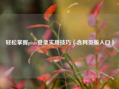 轻松掌握pixiv登录实用技巧（含网页版入口）