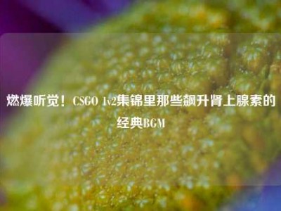 燃爆听觉！CSGO 1v2集锦里那些飙升肾上腺素的经典BGM