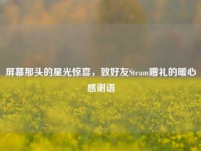 屏幕那头的星光惊喜，致好友Steam赠礼的暖心感谢语