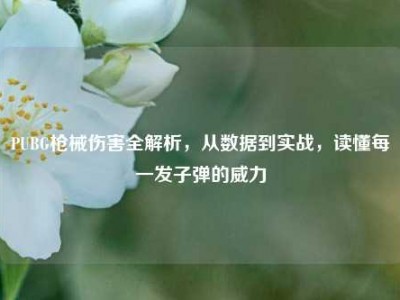 PUBG枪械伤害全解析，从数据到实战，读懂每一发子弹的威力