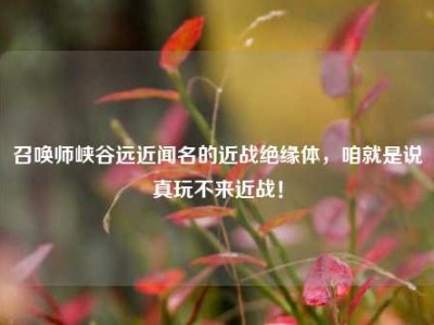召唤师峡谷远近闻名的近战绝缘体，咱就是说真玩不来近战！