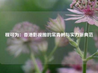 程可为：香港影视圈的常青树与实力派典范