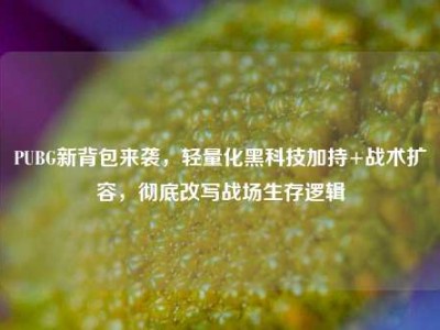 PUBG新背包来袭，轻量化黑科技加持+战术扩容，彻底改写战场生存逻辑