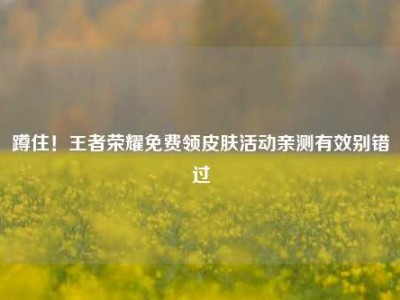 蹲住！王者荣耀免费领皮肤活动亲测有效别错过