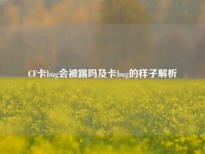 CF卡bug会被踢吗及卡bug的样子解析
