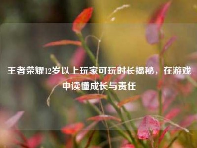 王者荣耀12岁以上玩家可玩时长揭秘，在游戏中读懂成长与责任