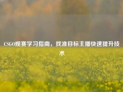 CSGO观赛学习指南，找准目标主播快速提升技术
