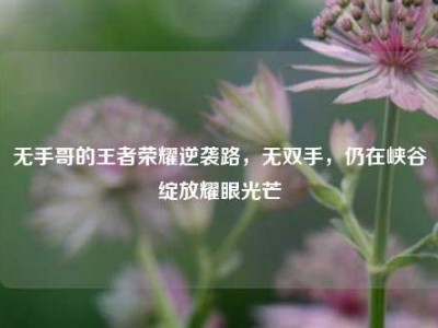 无手哥的王者荣耀逆袭路，无双手，仍在峡谷绽放耀眼光芒