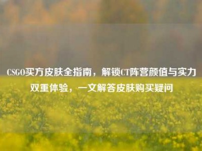 CSGO买方皮肤全指南，解锁CT阵营颜值与实力双重体验，一文解答皮肤购买疑问