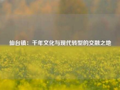 仙台镇：千年文化与现代转型的交融之地