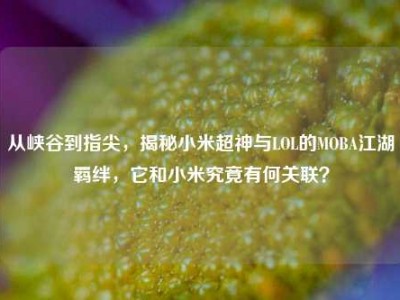 从峡谷到指尖，揭秘小米超神与LOL的MOBA江湖羁绊，它和小米究竟有何关联？