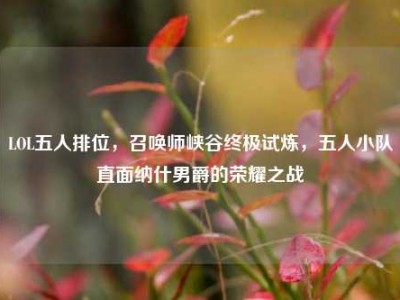 LOL五人排位，召唤师峡谷终极试炼，五人小队直面纳什男爵的荣耀之战