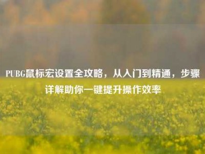 PUBG鼠标宏设置全攻略，从入门到精通，步骤详解助你一键提升操作效率