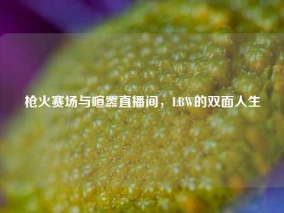 枪火赛场与喧嚣直播间，LBW的双面人生